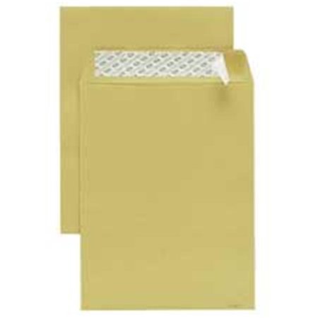 THE WORKSTATION Products  Redi-Strip Envelope- Plain- 28Lb- 6in.x9in.- Kraft TH840560